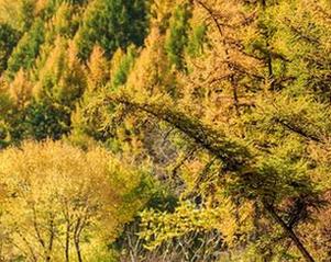 AISS爱丝(钻石版) – 看陈雅漫与死库水相遇的写真，惊喜总是浮现不定的！
