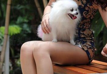 魔镜街拍：把黑丝OIN免费HP调到最大”的街头时光，不看空心的一切！
