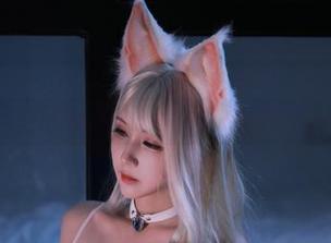 上演猫生琐忆：黑白御猫的写真分享时刻