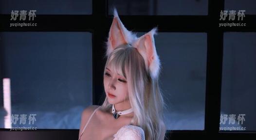 上演猫生琐忆：黑白御猫的写真分享时刻